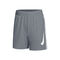 Dri-Fit Graphic Shorts