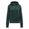 PHNX Fleece STD PO Hoody