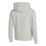 PHNX Fleece standard Hoody