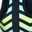 Crew Dress