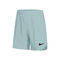 Dri-Fit Slam Shorts