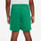 Dri-Fit Graphic Shorts