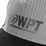 WPT Cap