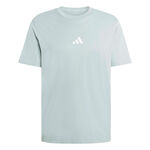 adidas Kläder adidas Essentials T-shirt Herrar-visdom