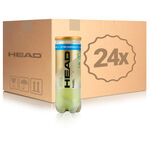 HEAD HEAD PADEL PRO S+ 24 Dosen im Karton