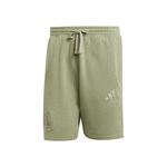 adidas Kläder adidas All SZN Shorts Herrar-Visdom