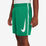 Dri-Fit Graphic Shorts