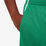 Dri-Fit Graphic Shorts