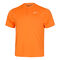 Court Dri-Fit Blade Solid Polo