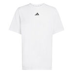 adidas T-shirt adidas D4T Essentials T-shirt Herrar-vit