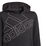 Graphics Logo Hoody Boys
