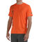 Tlaco Tee