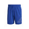 Icons 3 BAR Shorts