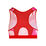 Singa Tech Bra - blue/rose