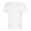 RN M NKCT DF TEE OC