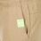 Wild Easy Sweatpant M
