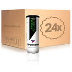 Tecnifibre Padelboll Tecnifibre Team 3-pack Rör